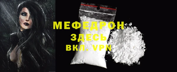 индика Арсеньев