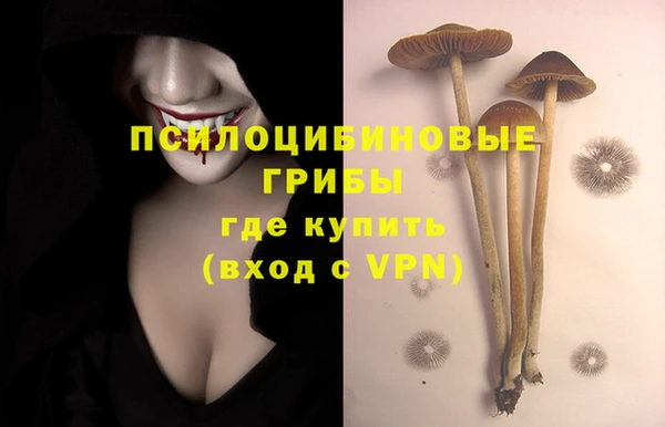 индика Арсеньев