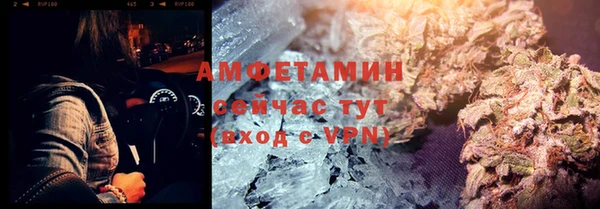 индика Арсеньев