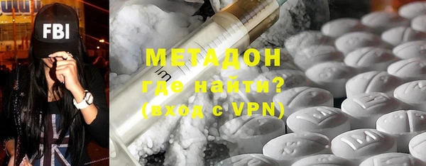 индика Арсеньев